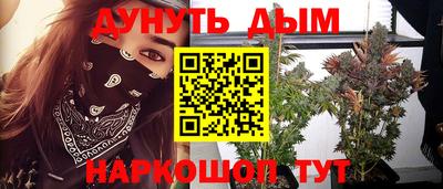 jwh Нальчик