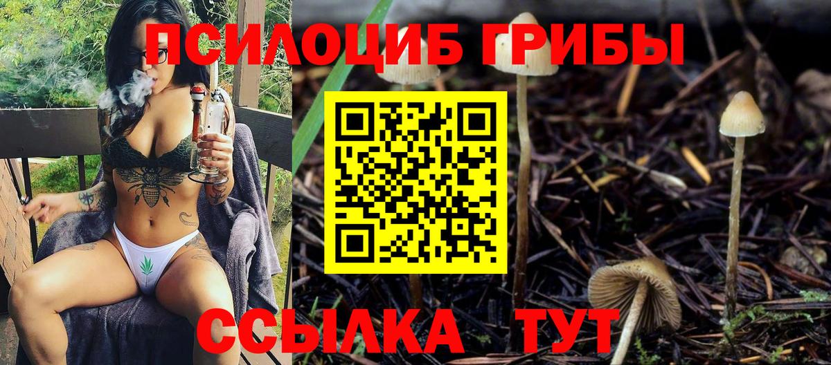 Псилоцибиновые грибы Cubensis Серпухов